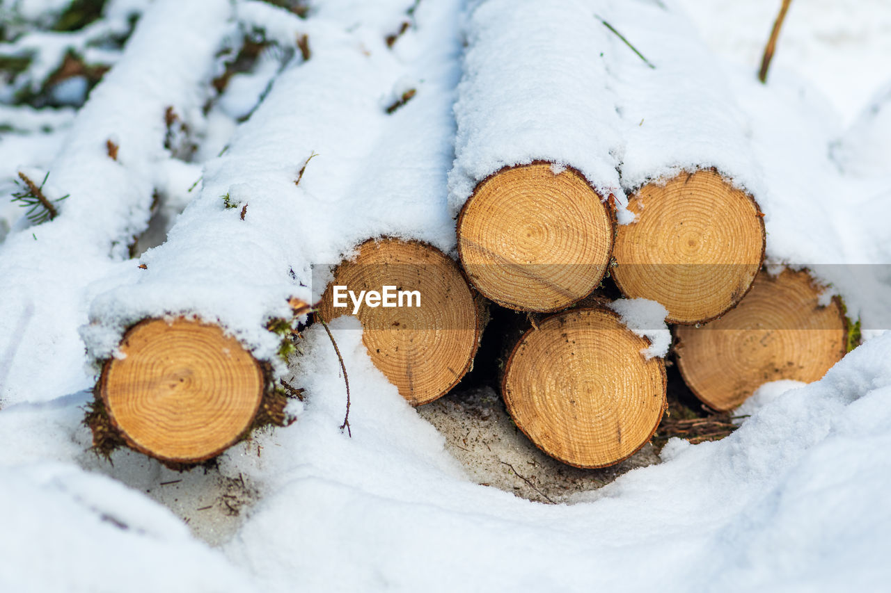 Stack or pile composed of blocks, pieces or logs of wood in winter or spring with snow