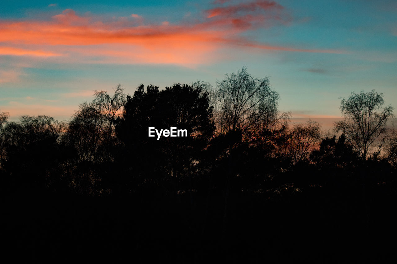 sky, tree, plant, silhouette, sunset, beauty in nature, cloud, tranquility, dawn, scenics - nature, tranquil scene, nature, no people, evening, landscape, growth, environment, orange color, non-urban scene, outdoors, idyllic, horizon, land, afterglow, darkness, dramatic sky