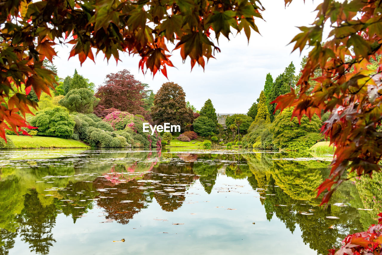 Scenic view of calm lake at sheffield park garden