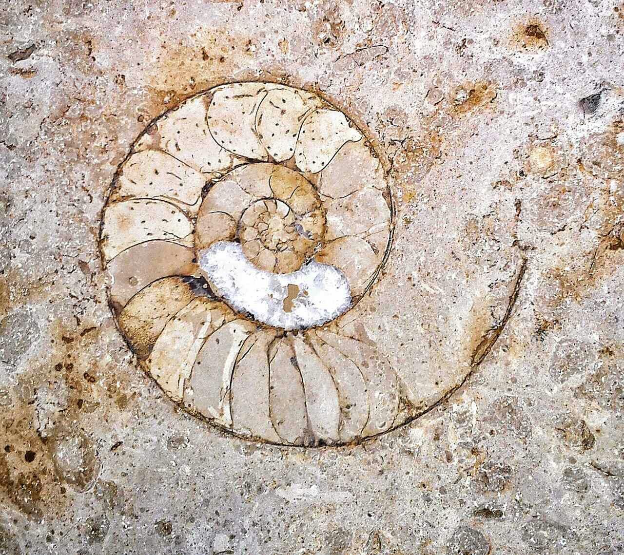 Low angle view of spiral design on marble