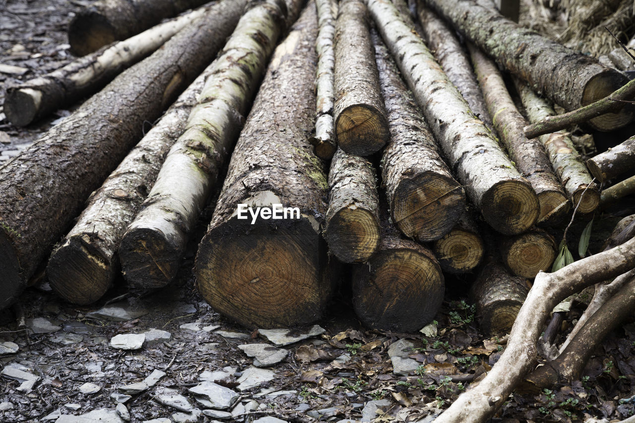 'log pile'