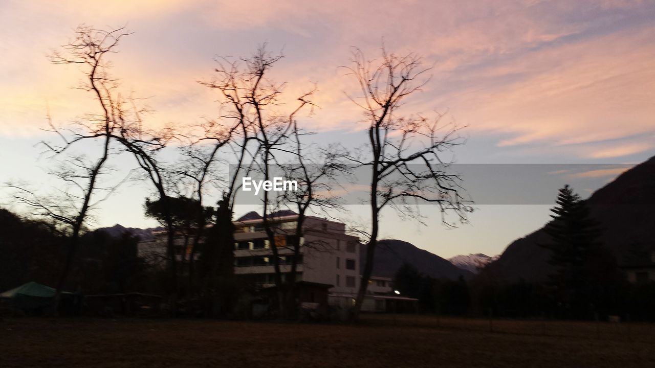 BARE TREES ON LANDSCAPE AT SUNSET