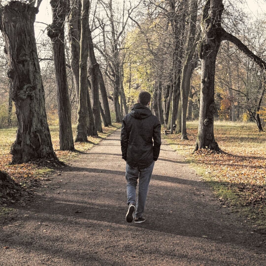 REAR VIEW OF MAN WALKING AMIDST TREES