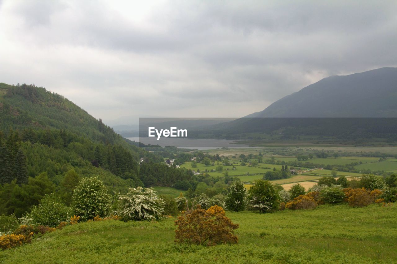 SCENIC VIEW OF LAND AGAINST SKY