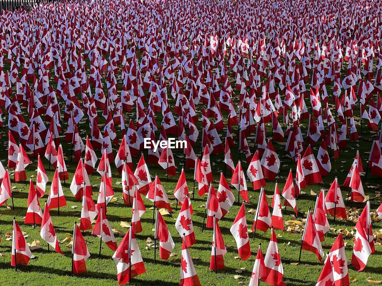 marching, red, group of people, crowd, musician, in a row, grass, event, day, celebration, stadium, cheering, sports, large group of people, outdoors, high angle view, nature, plant, clothing, tradition, abundance, large group of objects
