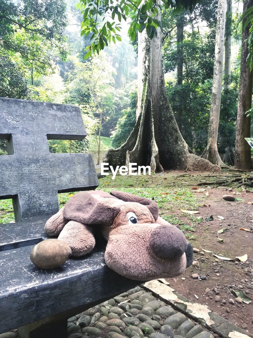 Stuffed toy on bench in park