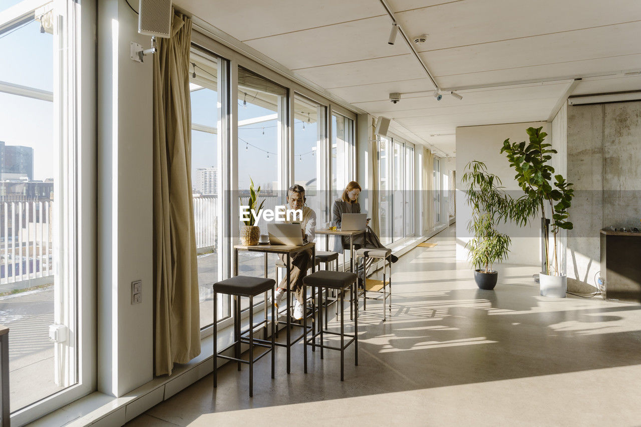 Programmers using laptops at tables by window in creative office