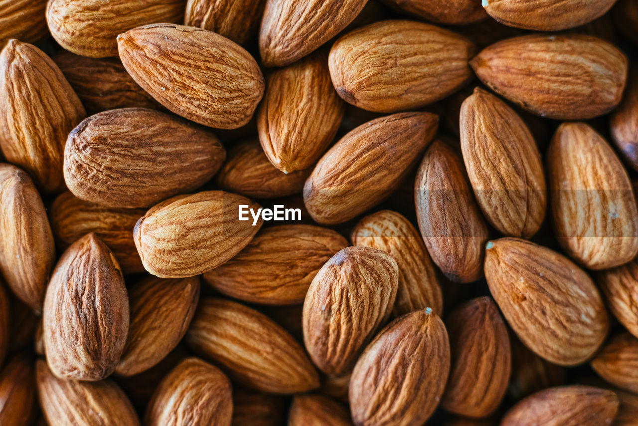 Prunus dulcis nut, almond, rich in phosphorus, vitamin e and proteins.