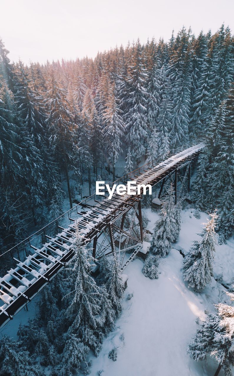Snow covered bridge over land and trees in forest