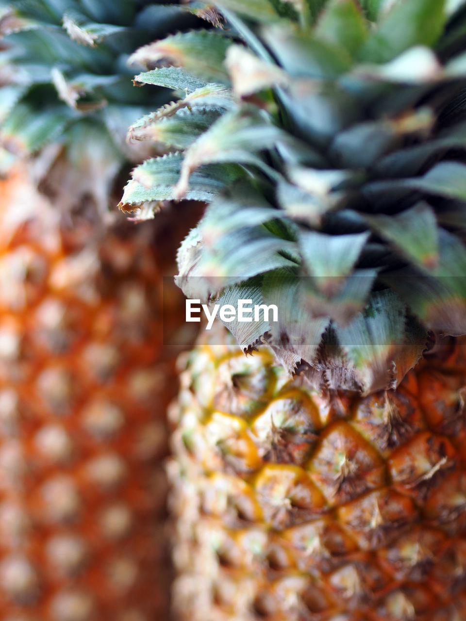 Close-up of pineapples on table