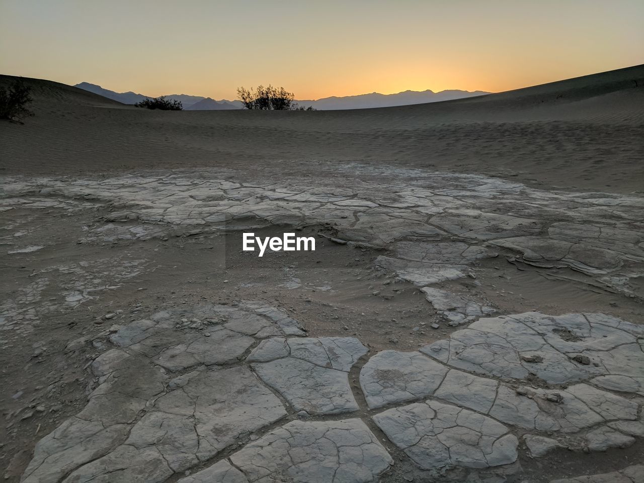 SCENIC VIEW OF DESERT DURING SUNSET