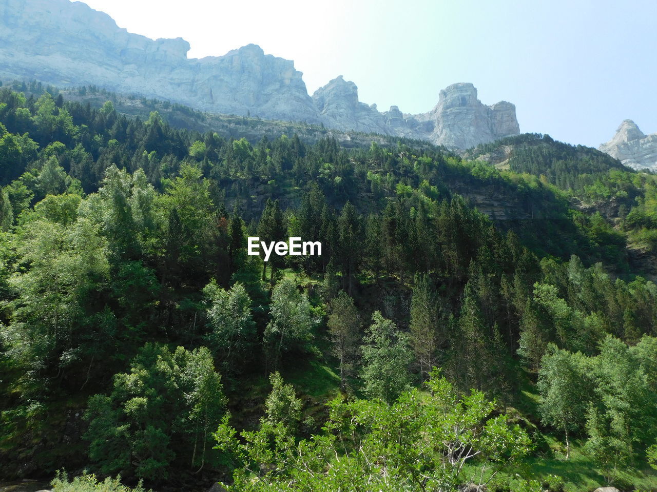 Scenic view of trees and mountains against sky