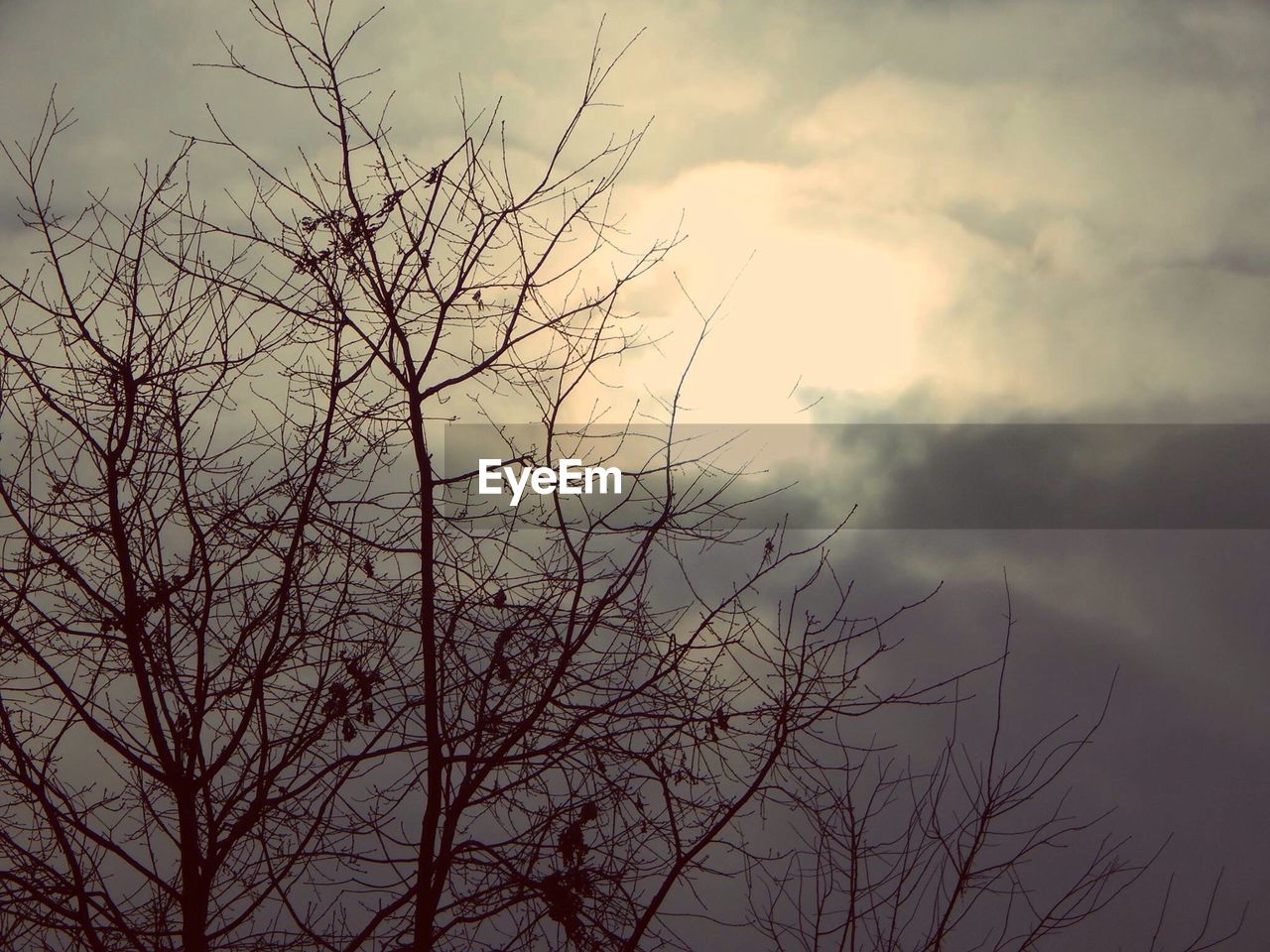 LOW ANGLE VIEW OF BARE TREES AGAINST CLOUDY SKY