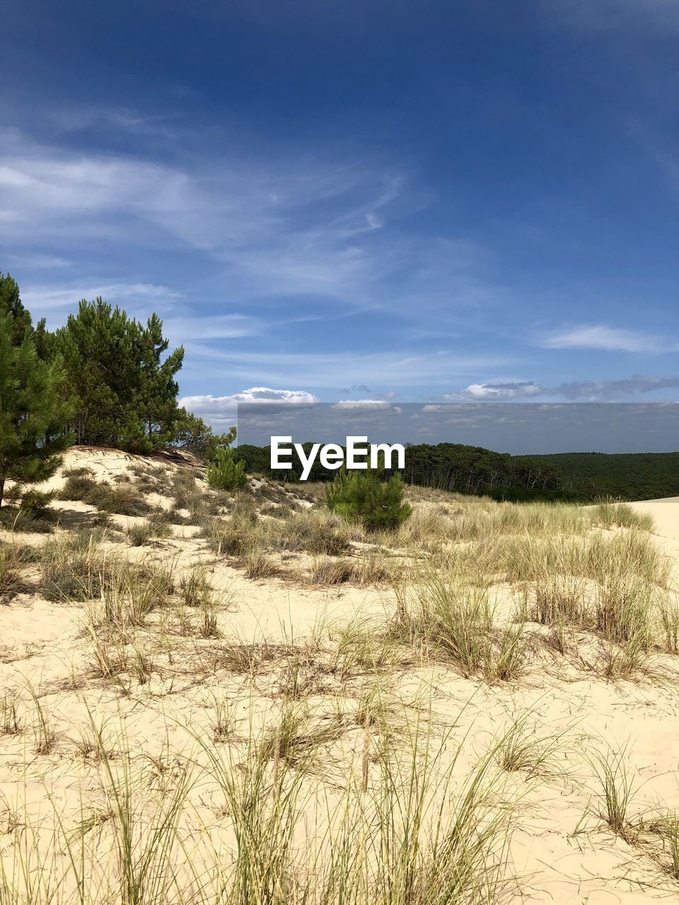 SCENIC VIEW OF LAND AGAINST SKY