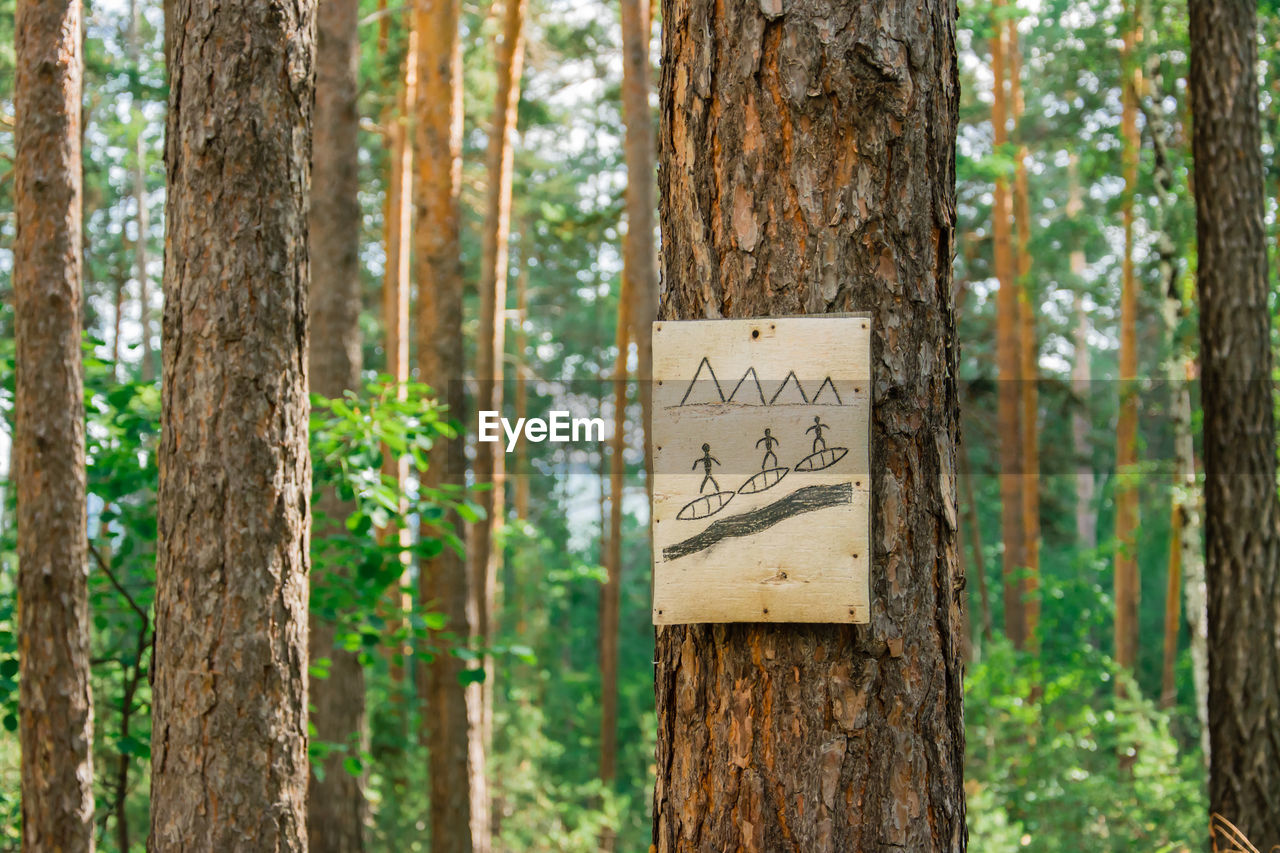 Ancient letter on wood from fishermen for their fellow tribesmen in the siberian forest