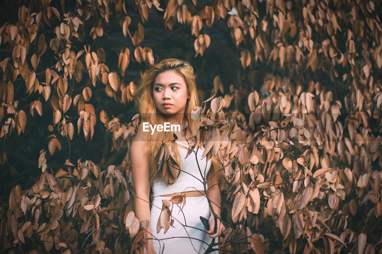 Young asian fashion model standing by autumn tree