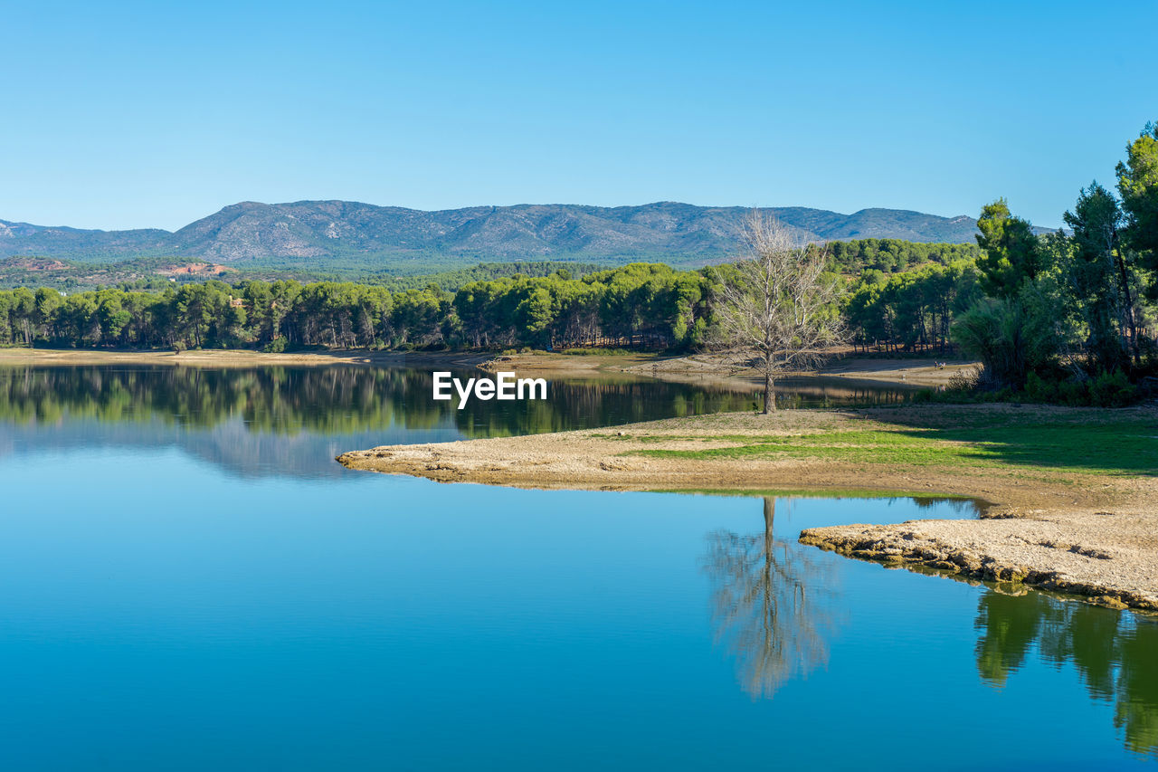 SCENIC VIEW OF LAKE BY TREES AGAINST BLUE SKY