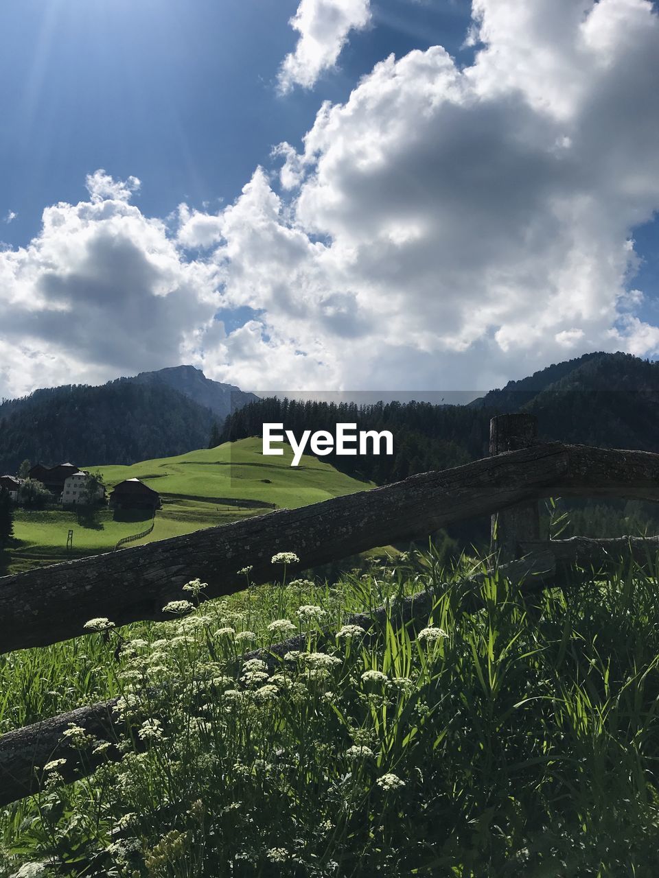 SCENIC VIEW OF LANDSCAPE AND MOUNTAINS AGAINST SKY