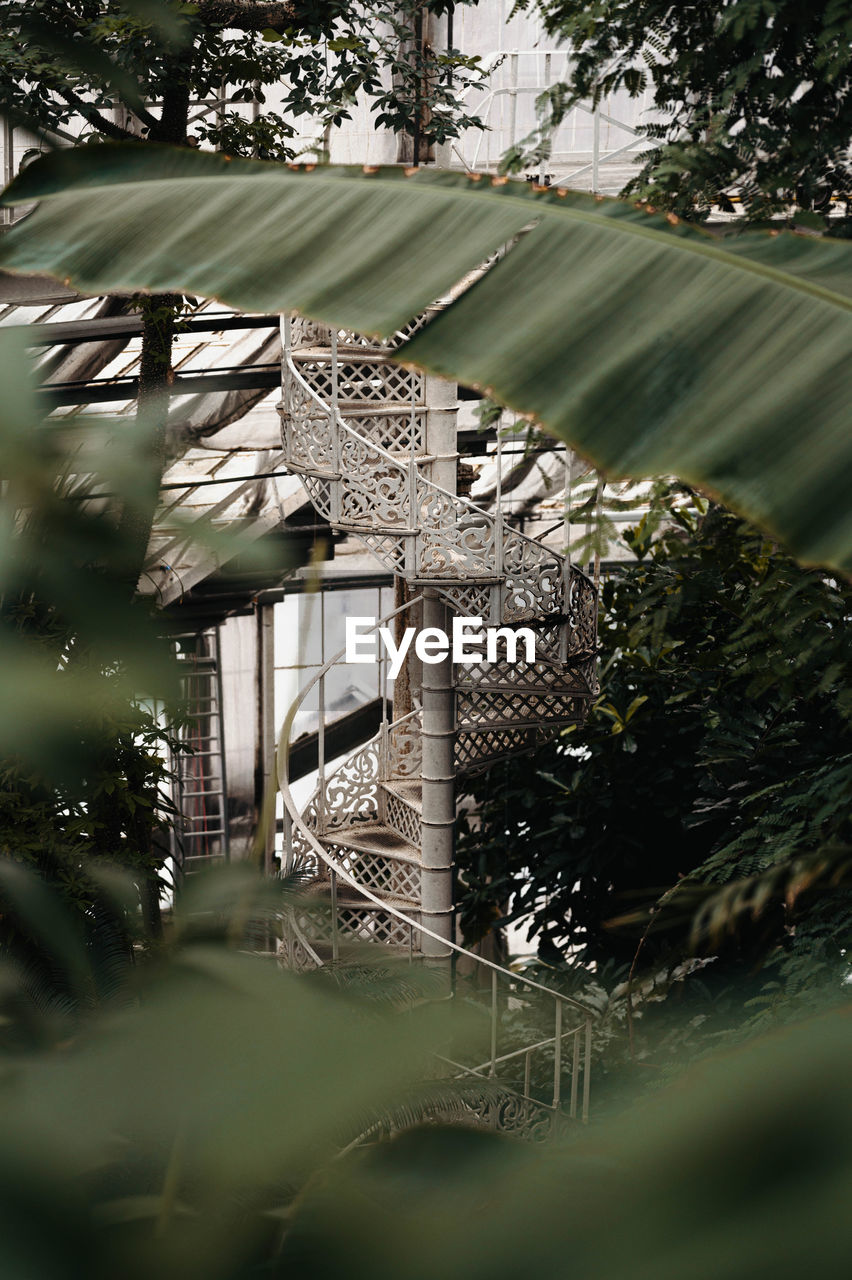 Close-up of plants and staircase