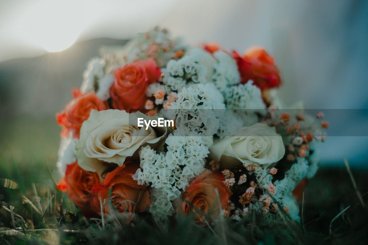 Close-up of rose bouquet