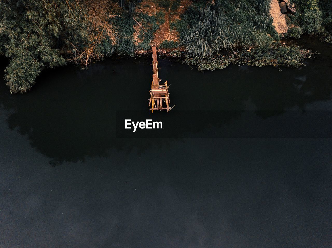 Scenic view of lake in forest