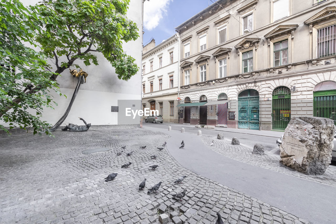 STREET BY BUILDINGS IN CITY