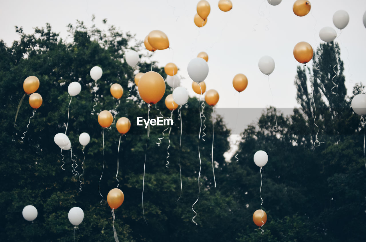 Low angle view of balloons