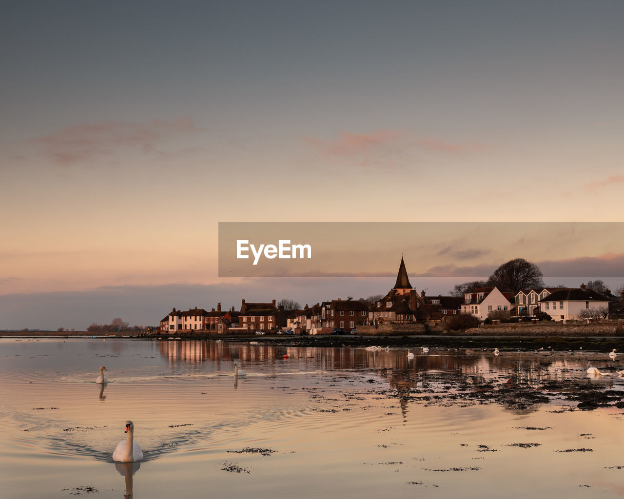 Bosham quay at sunrise with swans 