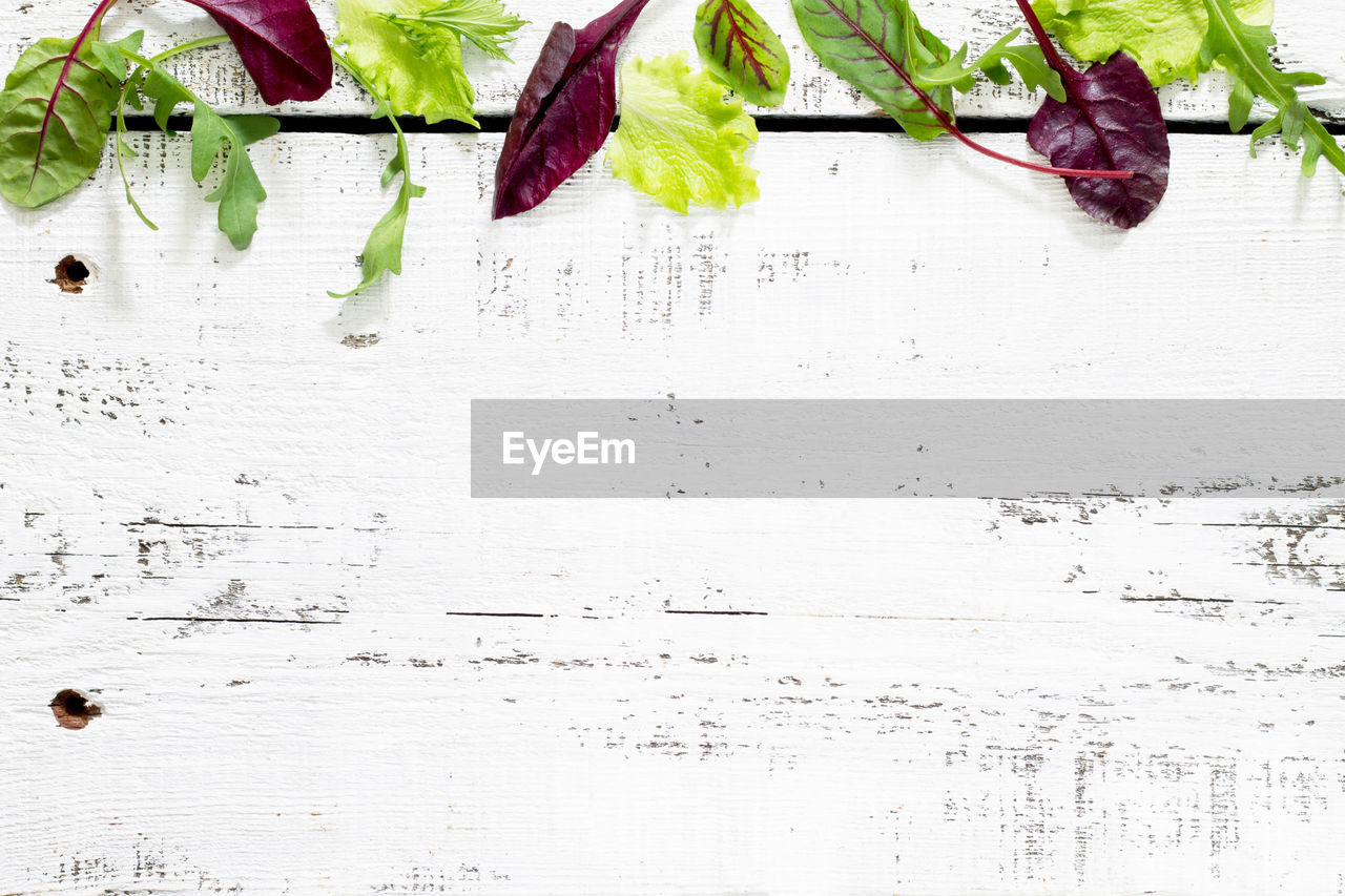 DIRECTLY ABOVE SHOT OF PURPLE FLOWERS ON TABLE