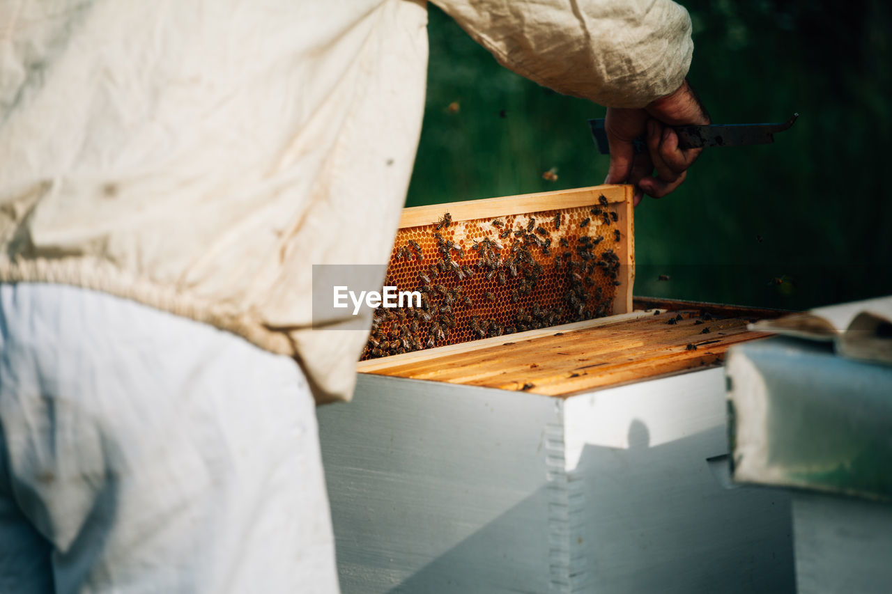 Midsection of beekeeper examining beehive on land