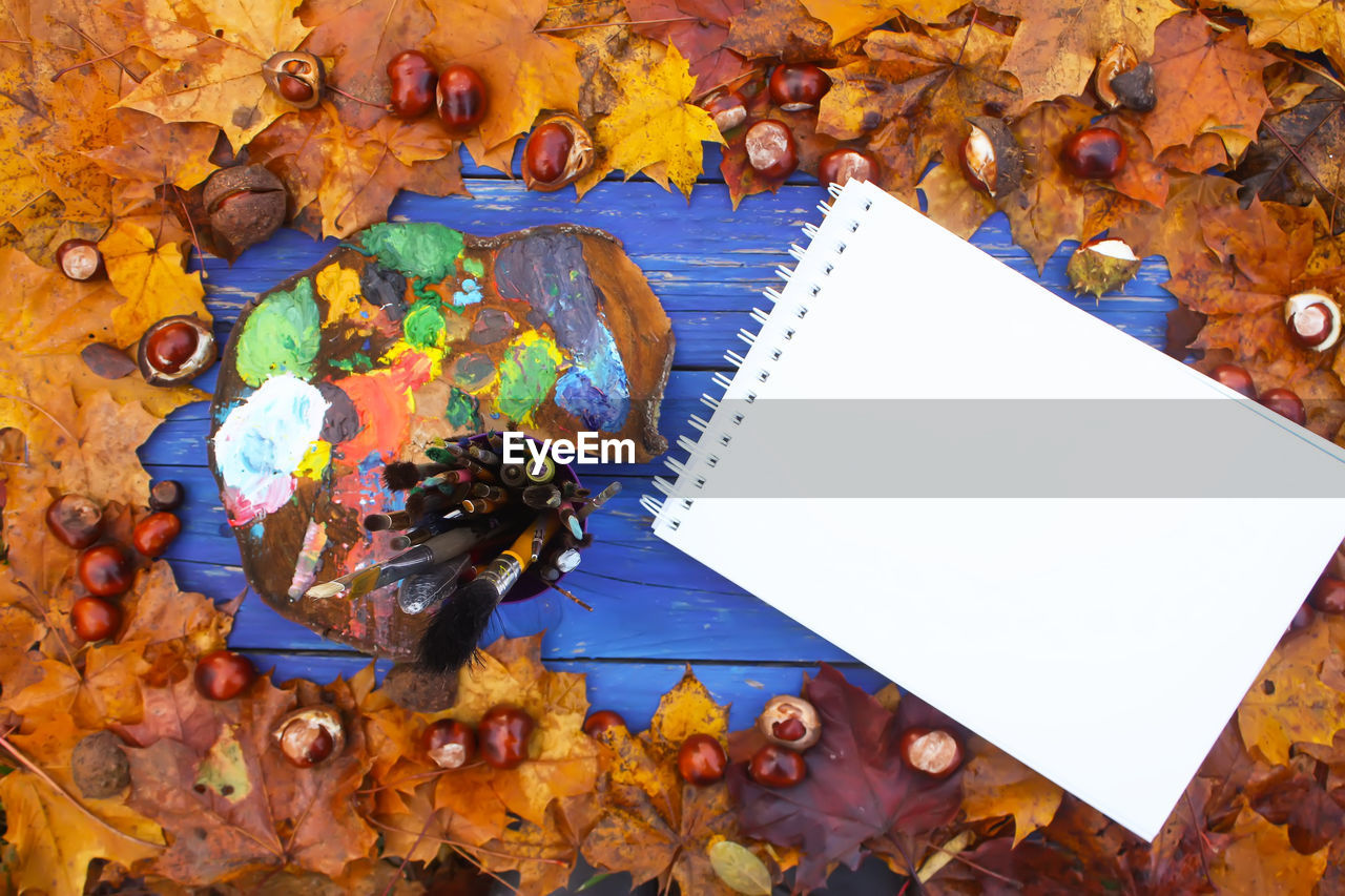 HIGH ANGLE VIEW OF OPEN BOOK ON TABLE IN AUTUMN