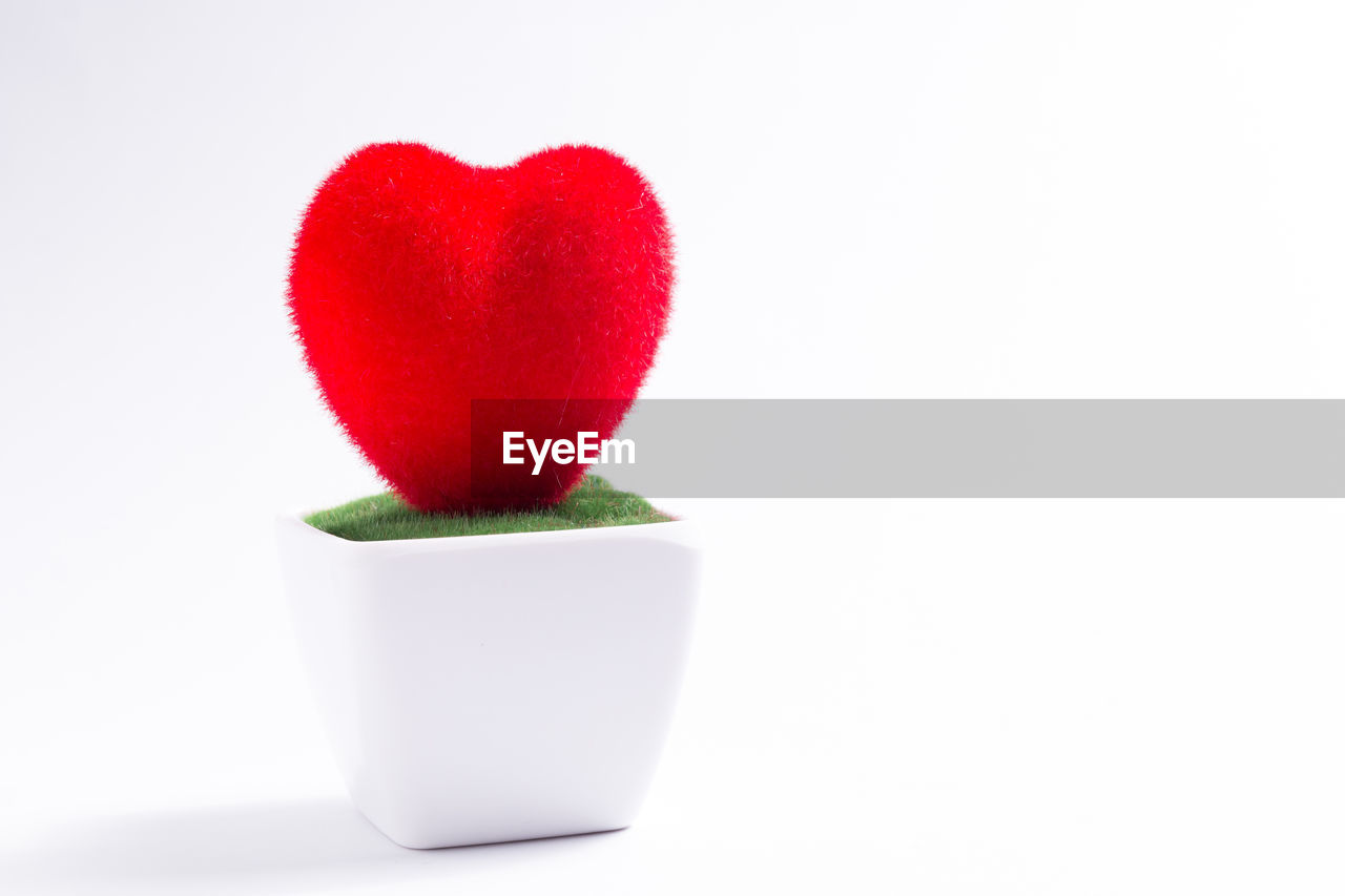 CLOSE-UP OF HEART SHAPE MADE OF RED LEAF