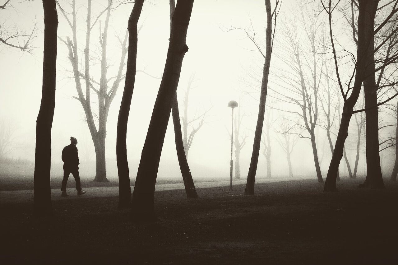 REAR VIEW OF SILHOUETTE MAN WALKING ON BARE TREES IN FOGGY WEATHER