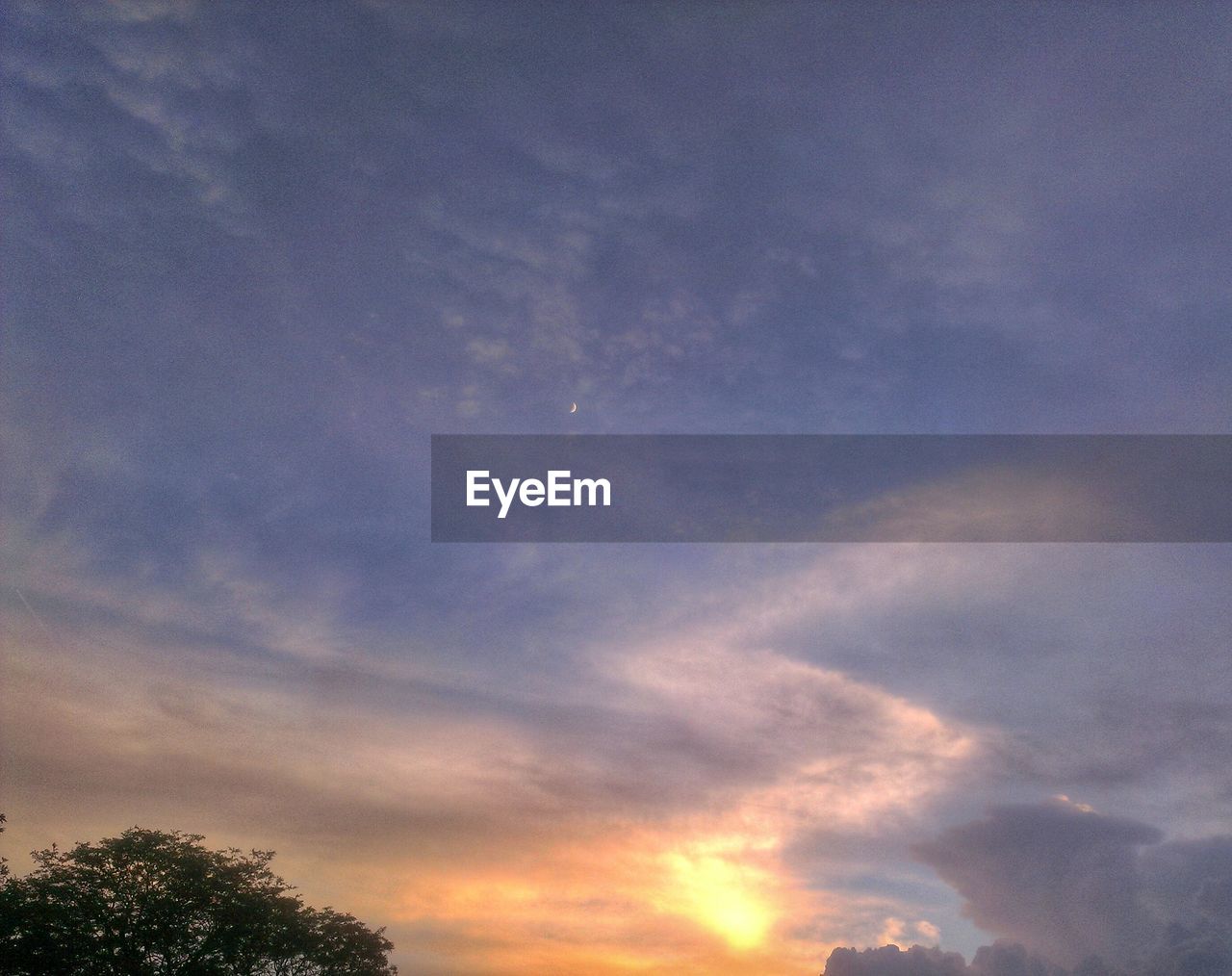 LOW ANGLE VIEW OF TREES AGAINST CLOUDY SKY