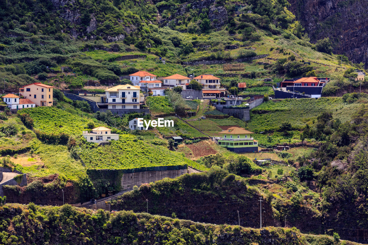 High angle view of trees and houses in village