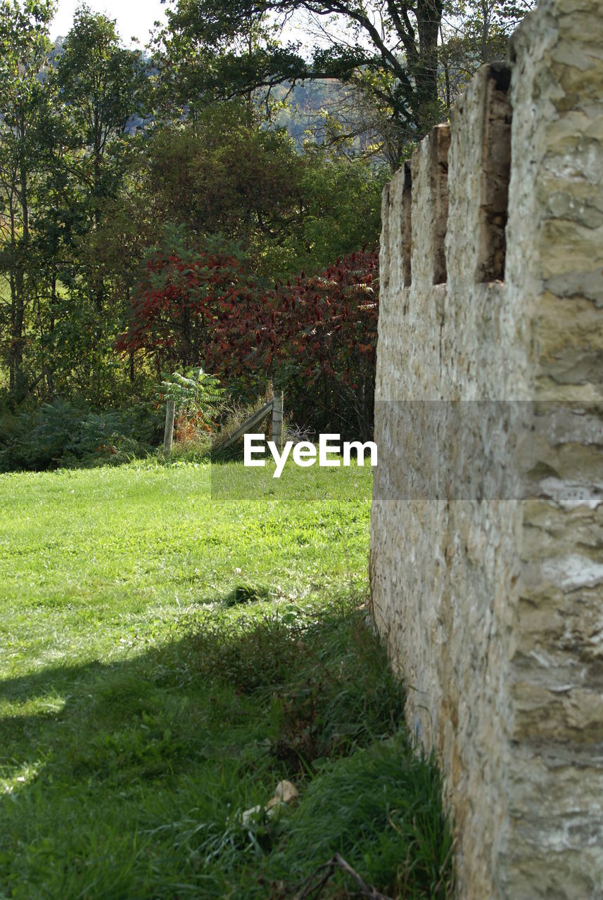 Weathered stone wall on field