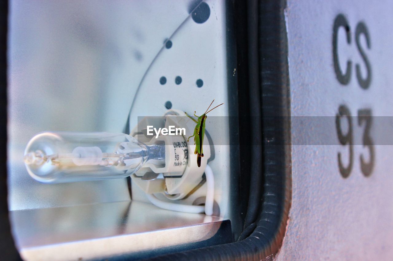 CLOSE-UP OF INSECT ON GLASS AGAINST WALL WITH REFLECTION