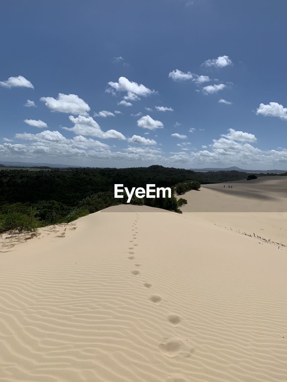 SCENIC VIEW OF SAND DUNES AGAINST SKY