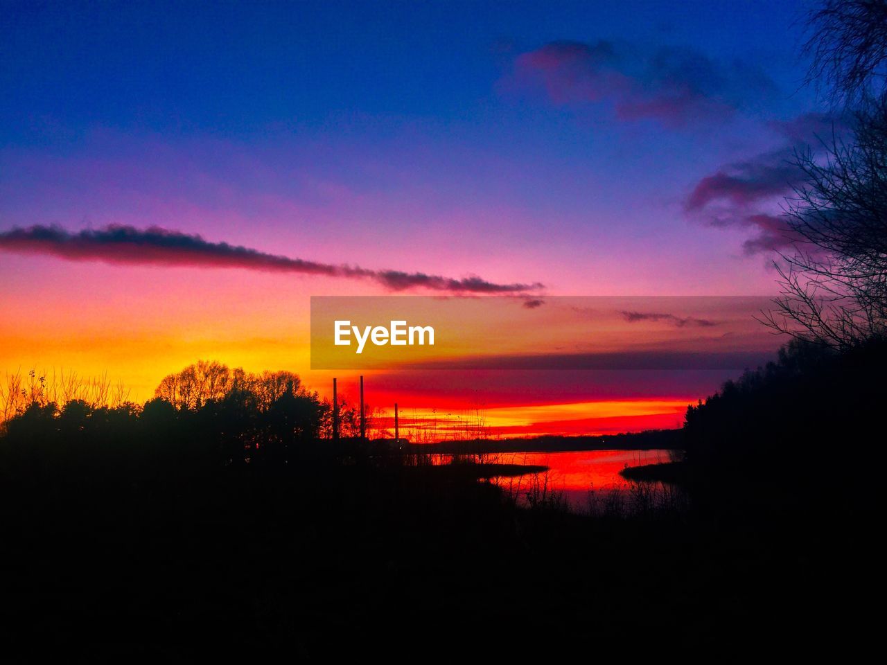 Silhouette trees against sky during sunset