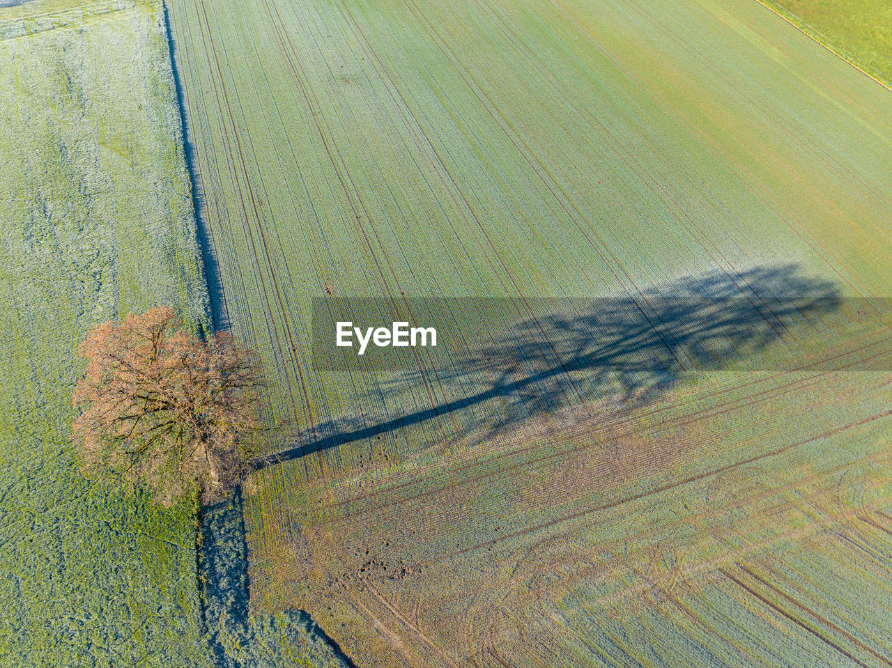 plant, no people, nature, leaf, high angle view, agriculture, land, landscape, rural scene, environment, green, aerial view, day, growth, field, beauty in nature, crop, outdoors, farm, pattern, wood, scenics - nature, tranquility, tree, painting, cereal plant, grass, yellow