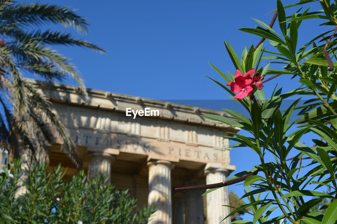 LOW ANGLE VIEW OF PALM TREE AGAINST SKY