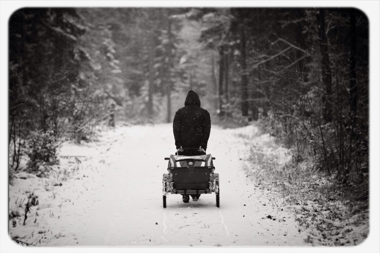 Rear view of person pulling cart on snow covered landscape