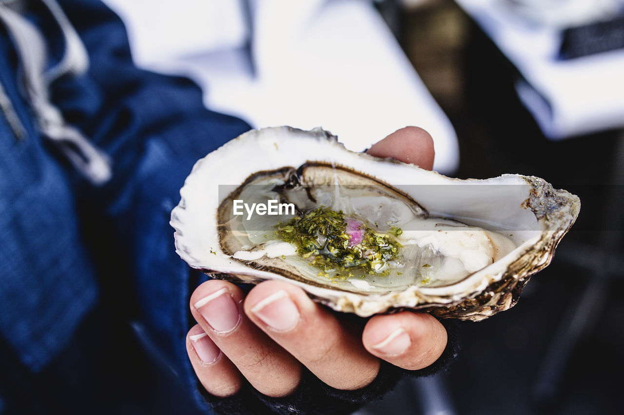 Close-up of hand holding mussel