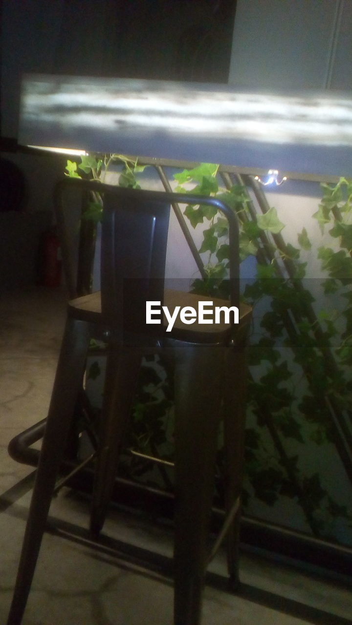 POTTED PLANTS ON TABLE AT HOME