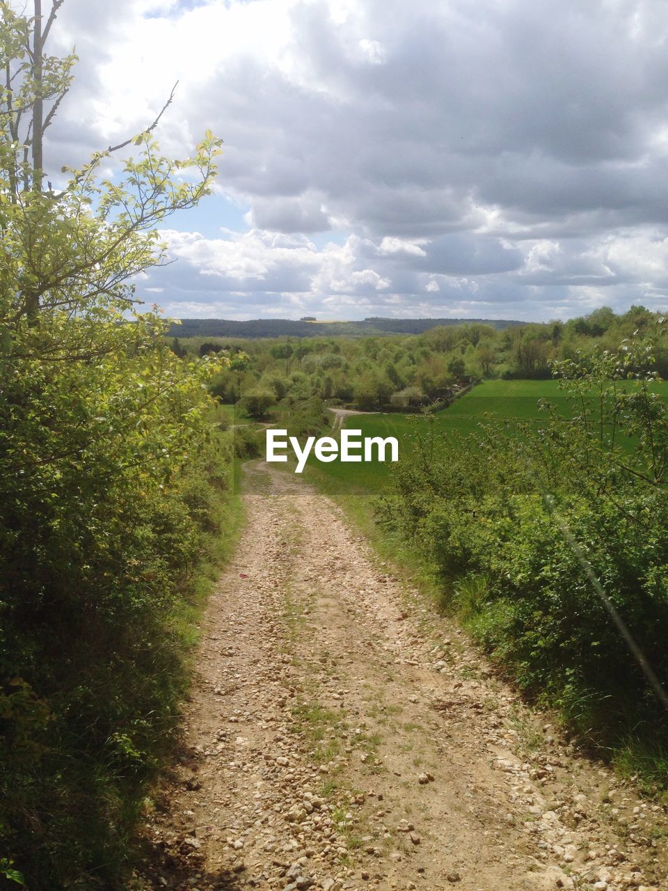 Dirt road passing through field