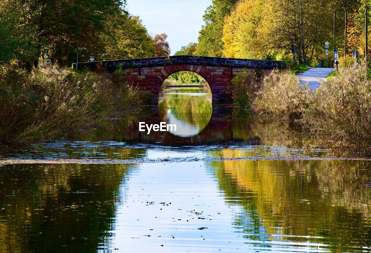 Bridge over river against trees