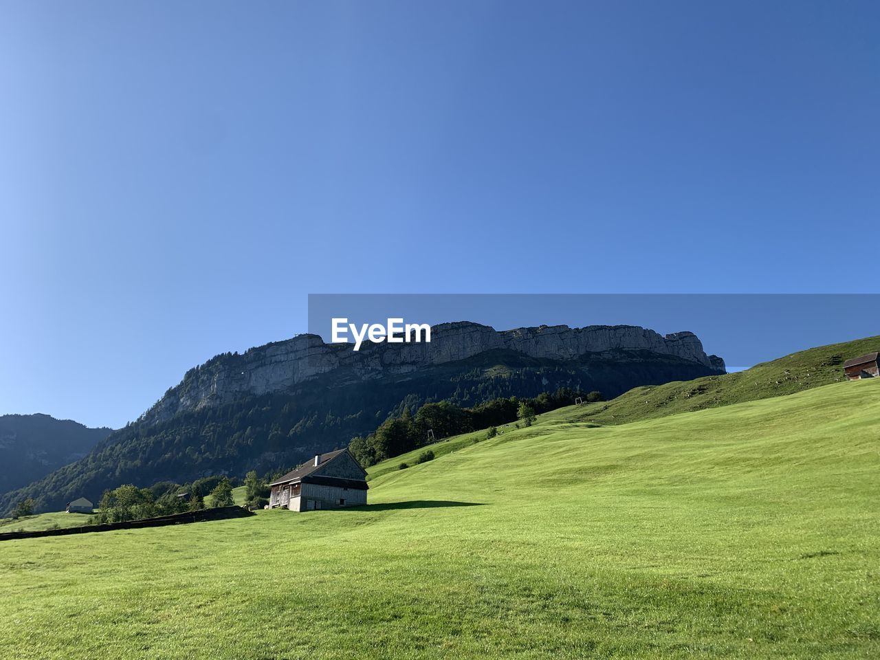 Scenic view of field against clear blue sky