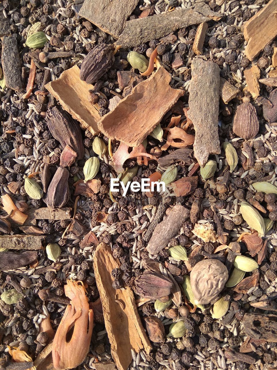 HIGH ANGLE VIEW OF DEAD TREE ON FIELD