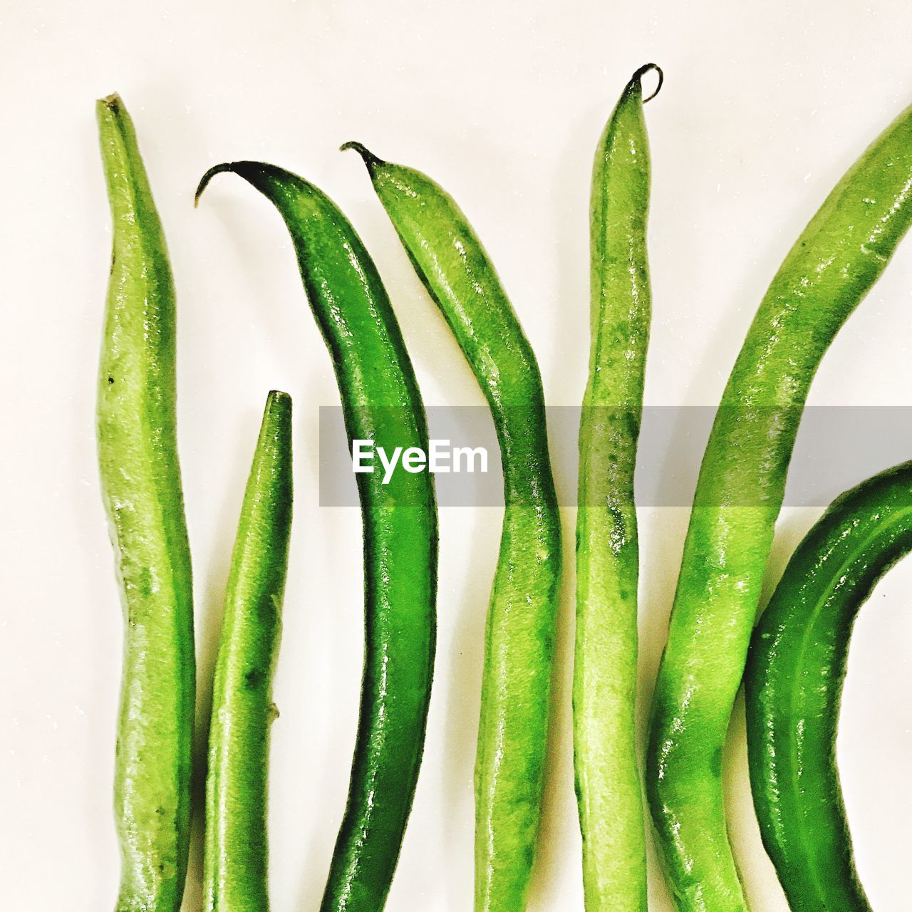 CLOSE-UP OF GREEN VEGETABLES