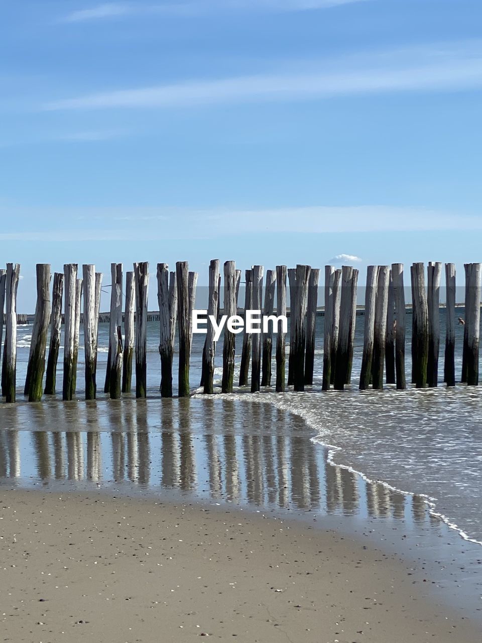 ROW OF WOODEN POSTS ON BEACH